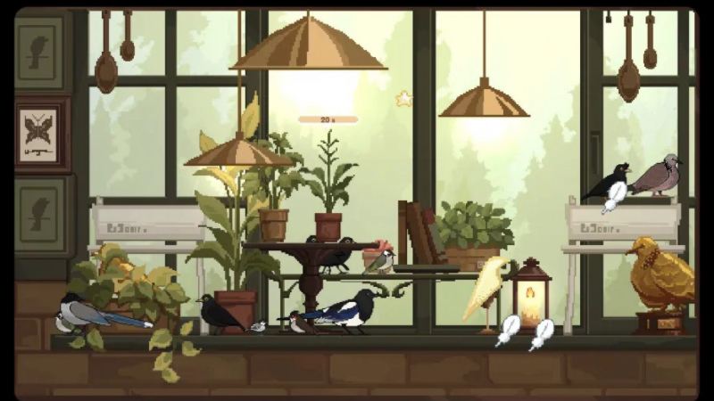 观鸟.jpg