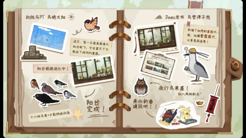 观鸟1.jpg